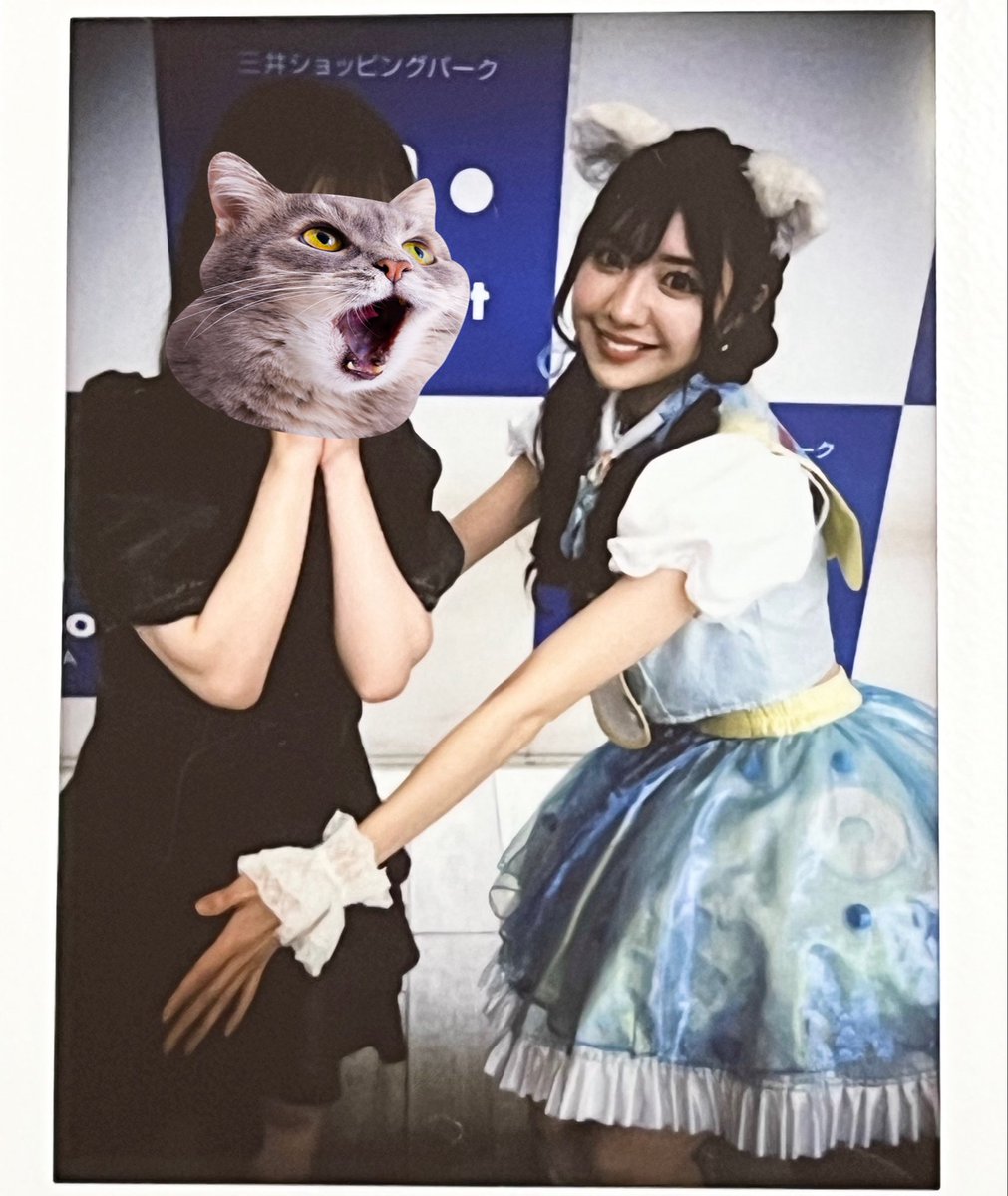 あやㄘｬん tweet media