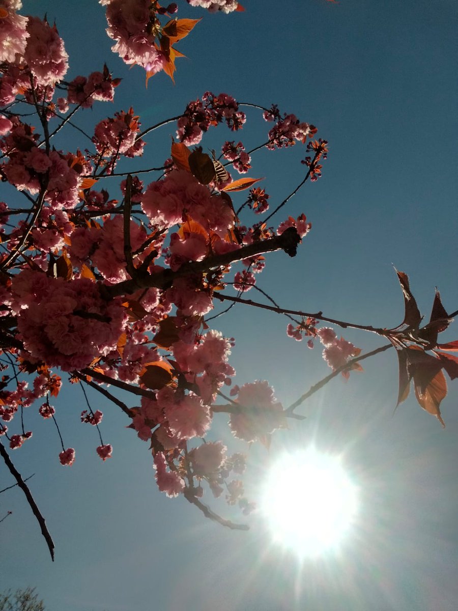 BossQueen___'s tweet photo. Bugün kalbini yormayan insanlarla, ruhunu yormayan düşüncelerle olsun.
Mutlu pazarlar 💜☕🏵️🧚🏼♀️
~❥🦋❥~
#günaydın
#pazar
#hellosunday https://t.co/Pz2i1KL4tr