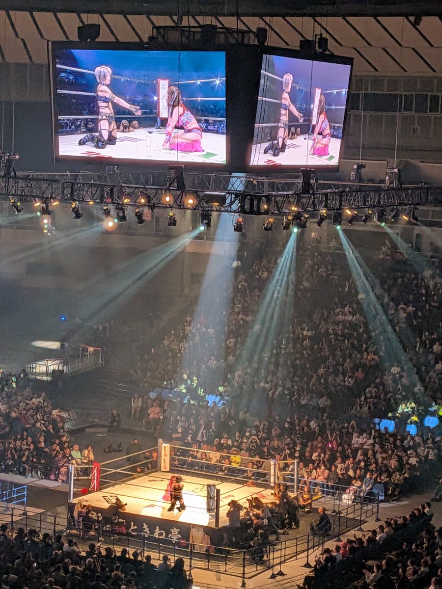 カープスター tweet media