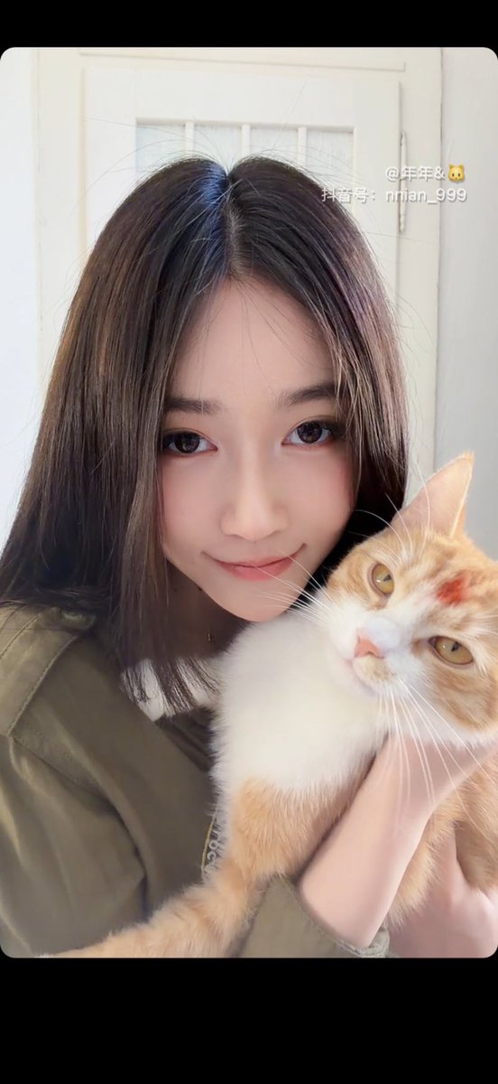 🐱 https://t.co/Ih2Dc22nr8