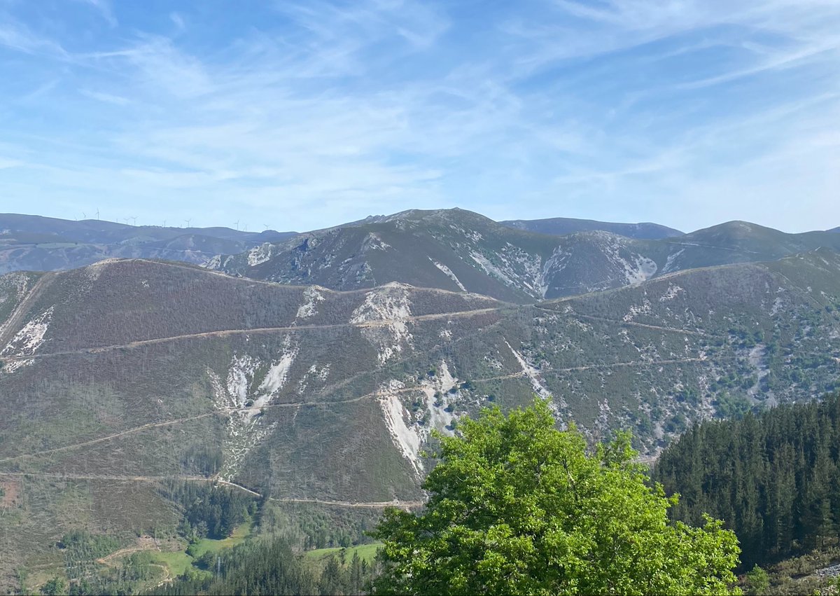 Detrás de ese monte que está zurcido a pistas y calcinado por reiterados mecherazos está lá braña del Cabral. En ese monte hubo urogallos hasta hace pocas décadas, muy pocas. Asturias, precipicio natural.