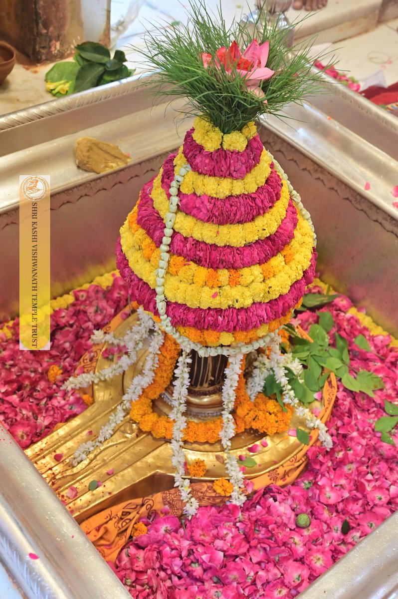 Shri Kashi Vishwanath Temple Trust tweet media