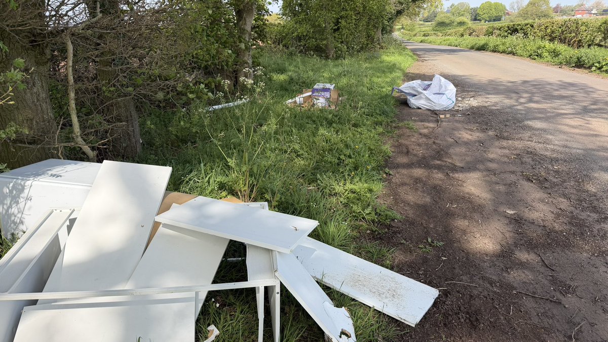 Mister Milo tweet media