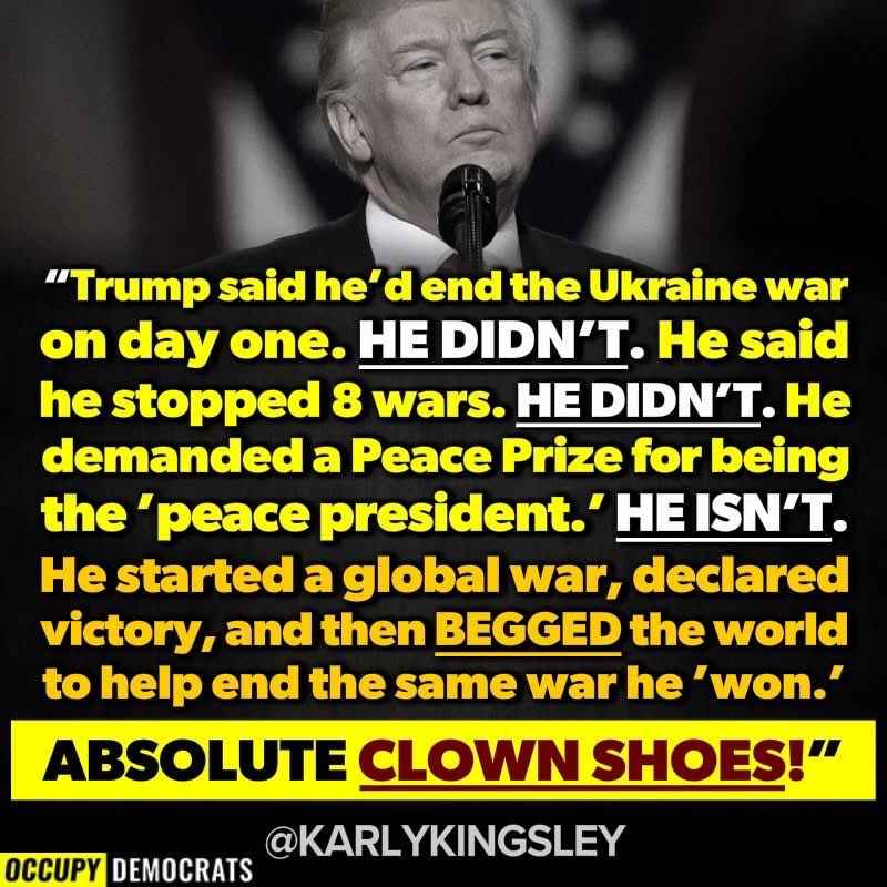 Tony Owen 🦖 tweet media