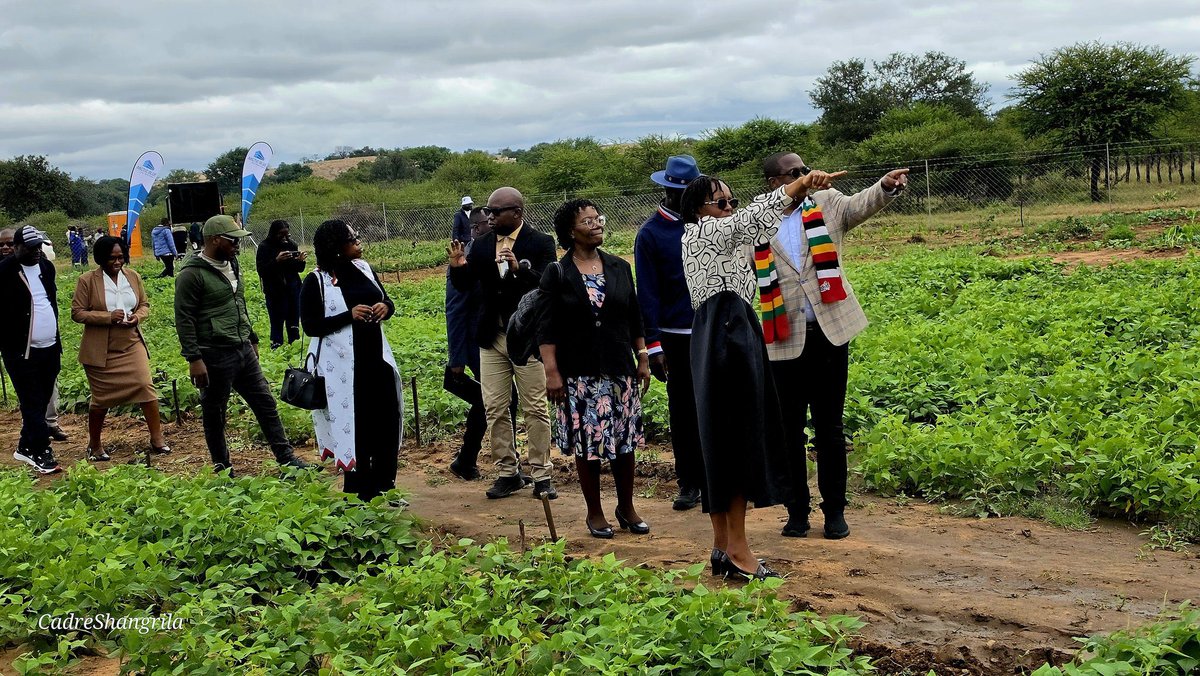 Rutendo Matinyarare tweet media