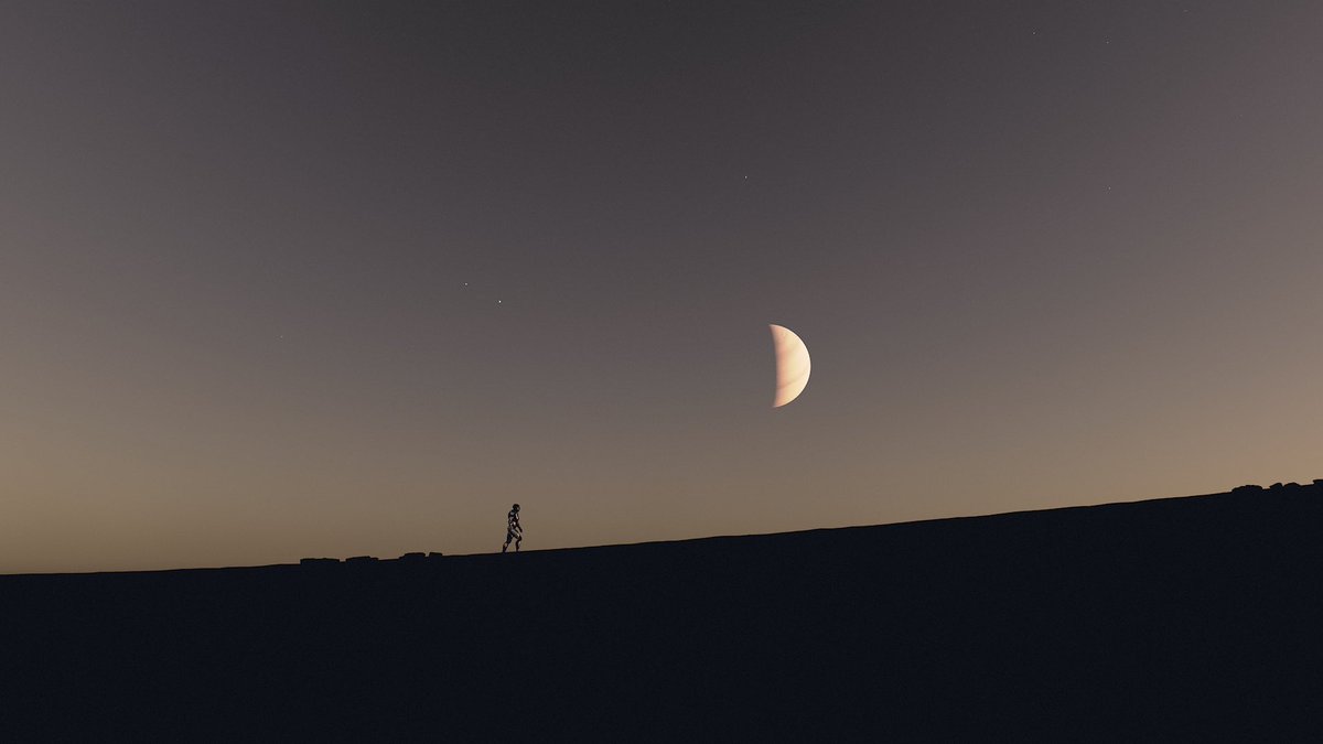 CosmosThief's tweet image. Head on the stars ✨
@BethesdaStudios @StarfieldGame 
#Starfield #Xbox #VirtualPhotography  #TheCapturedCollective #VGPUnite