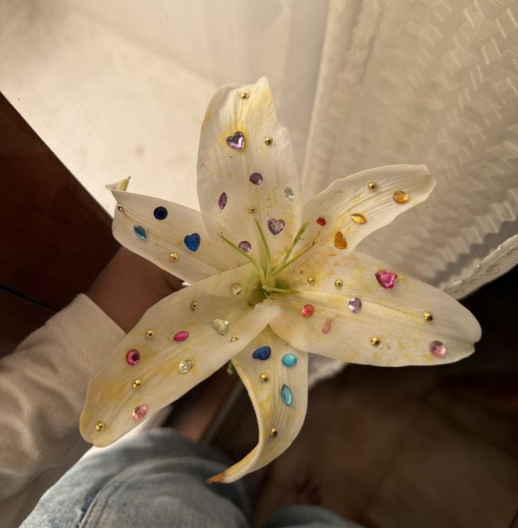 𝑓𝑙𝑜𝑟𝑎 tweet media