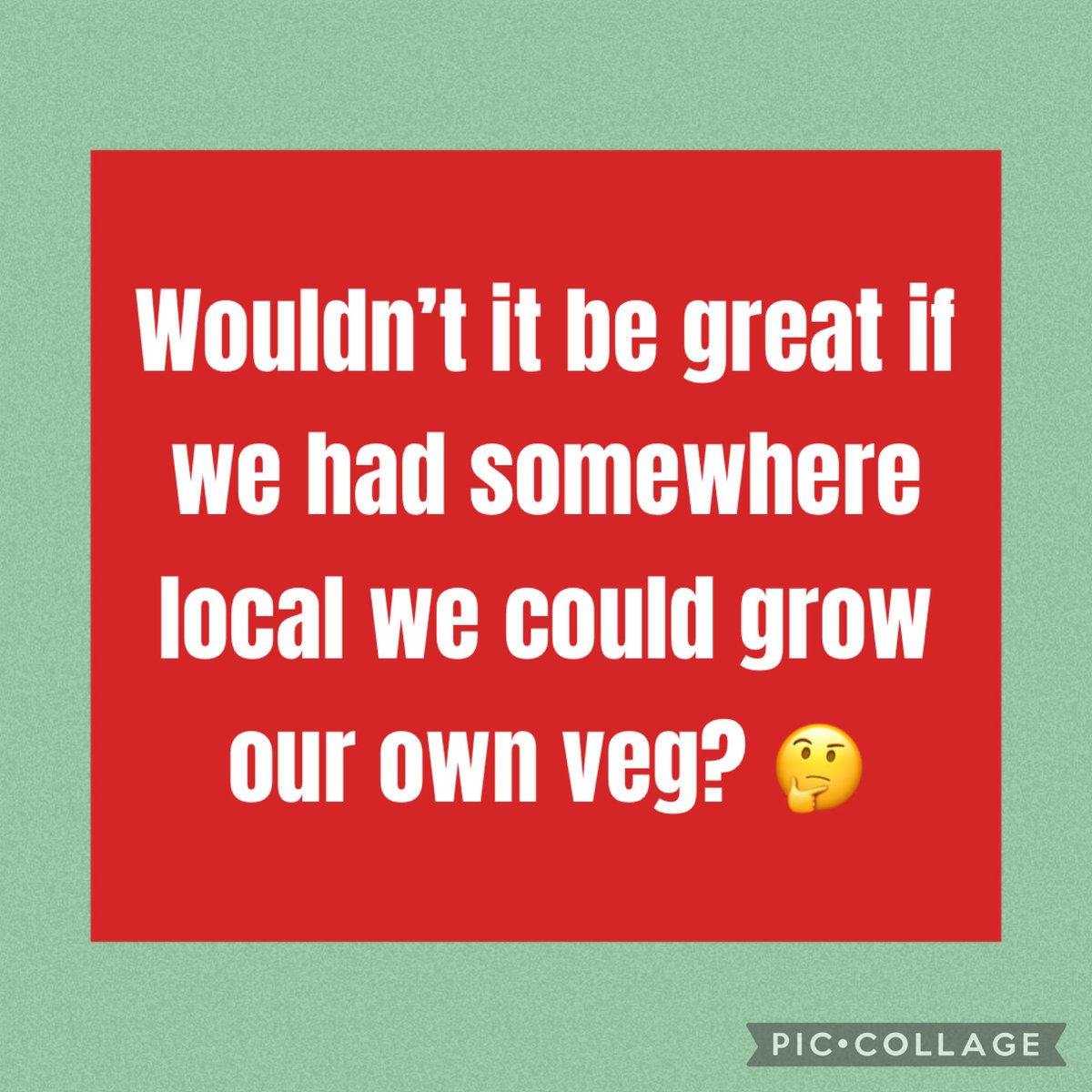 SaveTeddingtonAllotments tweet media