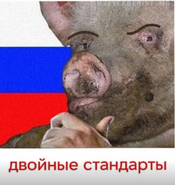 Михайло tweet media