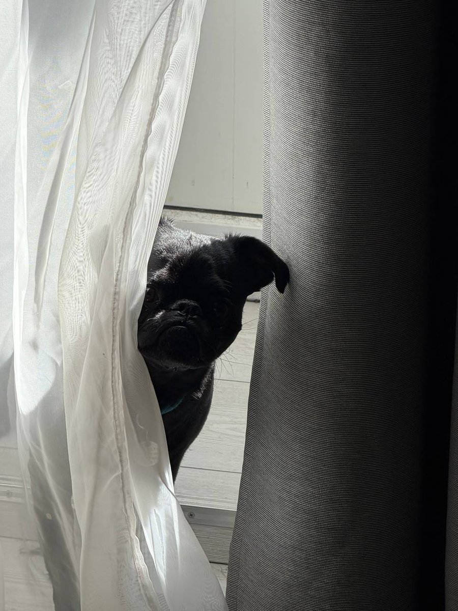 BLVCKISLIFE 🖤🖤