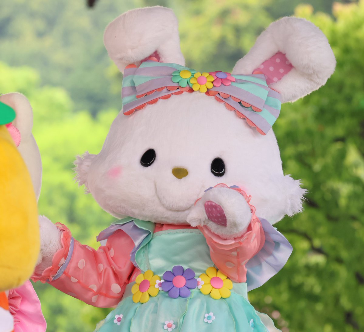 ぱちぇ tweet media