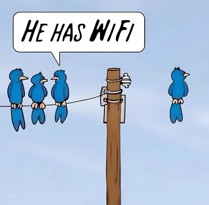 יש לו  WiFi