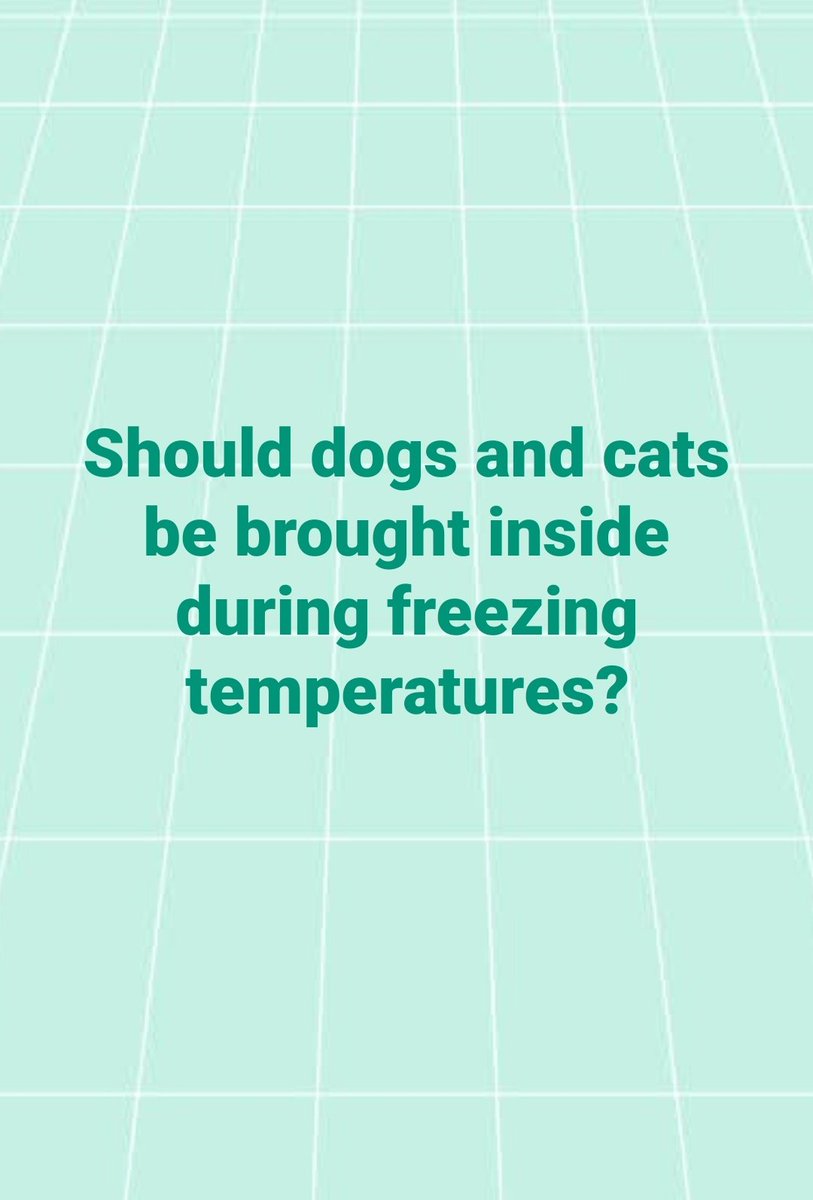 Sara Mary ⭐❤️ tweet media