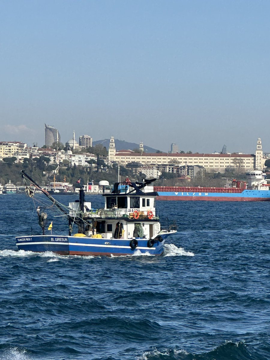 moon🌙 tweet media