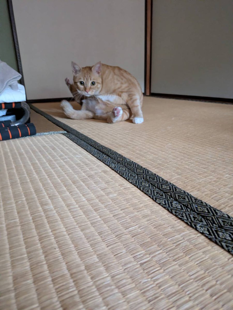 沼黒 tweet media