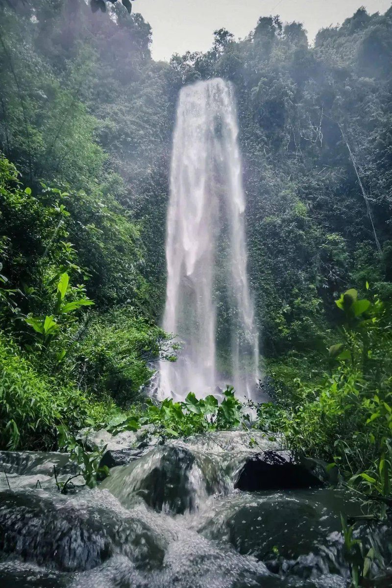 Venkatesans18's tweet image. "Sunrise hike to the hidden lake  | Misty peaks, fresh pine air, and a picnic by crystal water—today’s adventure hit different. Grateful for these quiet, wild moments  #Wanderlust #NatureLovers"