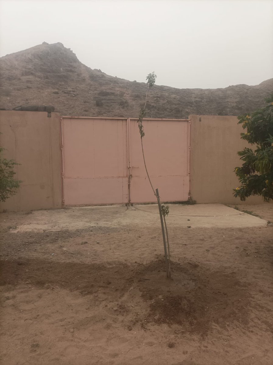 جمعية نجران الخضراء tweet media