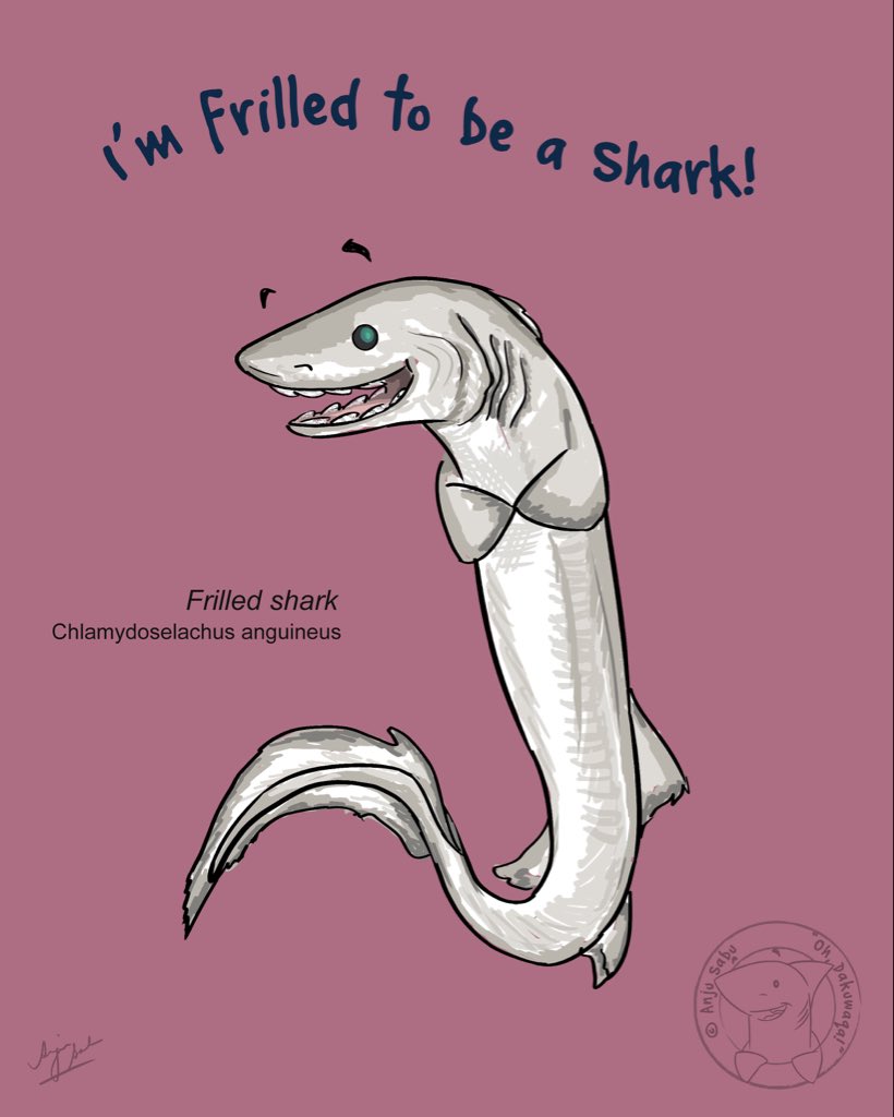 ohdakuwaqa's tweet image. Frilled shark is simply thrilled! Or is the thrilled shark simply frilled? 🤔🤭

#shark #sharkart #sharks #illustration #deepseasharks