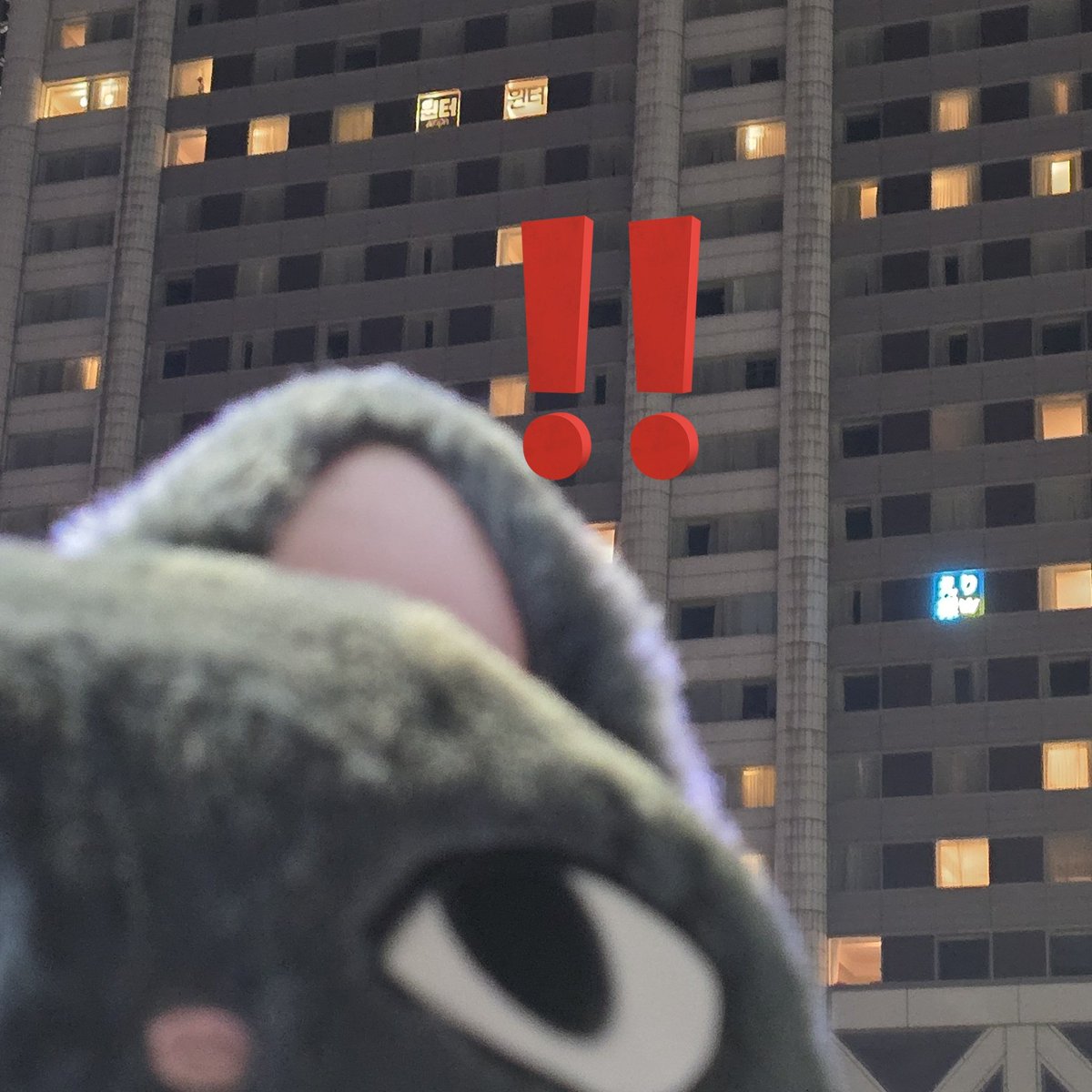 ささきひろしᥬ🐷ᩤです tweet media