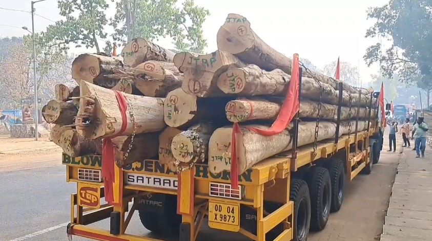 knews_odisha's tweet image. ବିଶ୍ବପ୍ରସିଦ୍ଧ ରଥଯାତ୍ରା ପାଇଁ କନ୍ଧମାଳରୁ ପୁରୀ ଗଲା ରଥକାଠ । ପ୍ରଥମଥର ପାଇଁ କନ୍ଧମାଳ ଜିଲ୍ଲା କୋଟଗଡ଼ ବନାଞ୍ଚଳରୁ ରଥଯାତ୍ରା ପାଇଁ କାଠ ଯାଇଛି । ଏହି କାଠ ୩ ରଥର ଅଖ ନିର୍ମାଣ କାର୍ଯ୍ୟରେ ବ୍ୟବହୃତ କରାଯିବ । କୋଟଗଡ଼ ବନାଞ୍ଚଳରୁ ୨୩ ଖଣ୍ଡ ୪୦ ଫୁଟ ଲମ୍ବର ଧଉରା କାଠ ପଠାଯାଇଛି ।
#RathaKatha #Puri #Kandhamal #knewsodisha