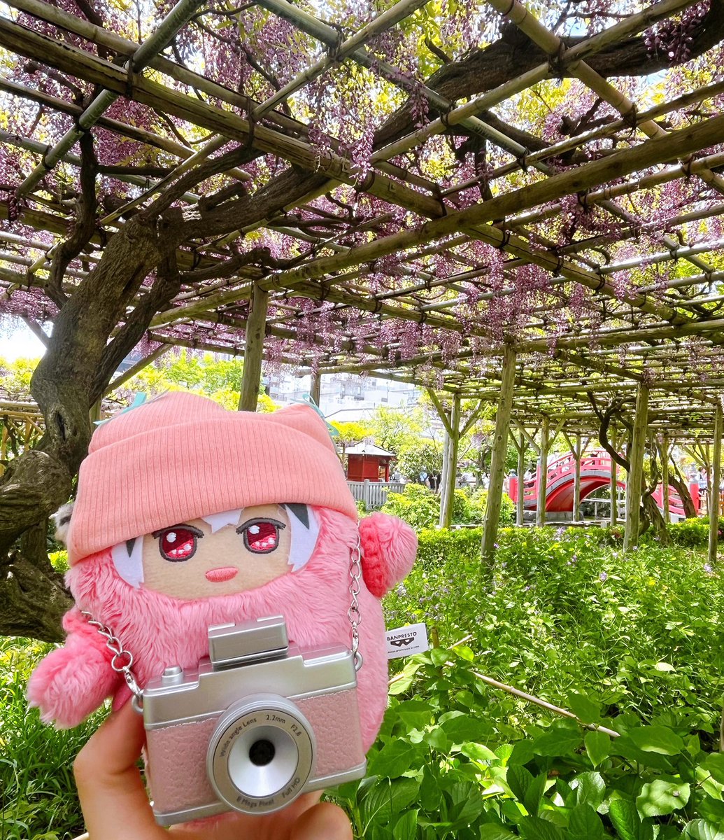 𝄇ガレット𝄆🥧@5/22 EXPO @6/28不参加(仕事のため😇) tweet media