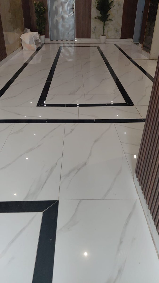 Alejandro Albertson tweet media