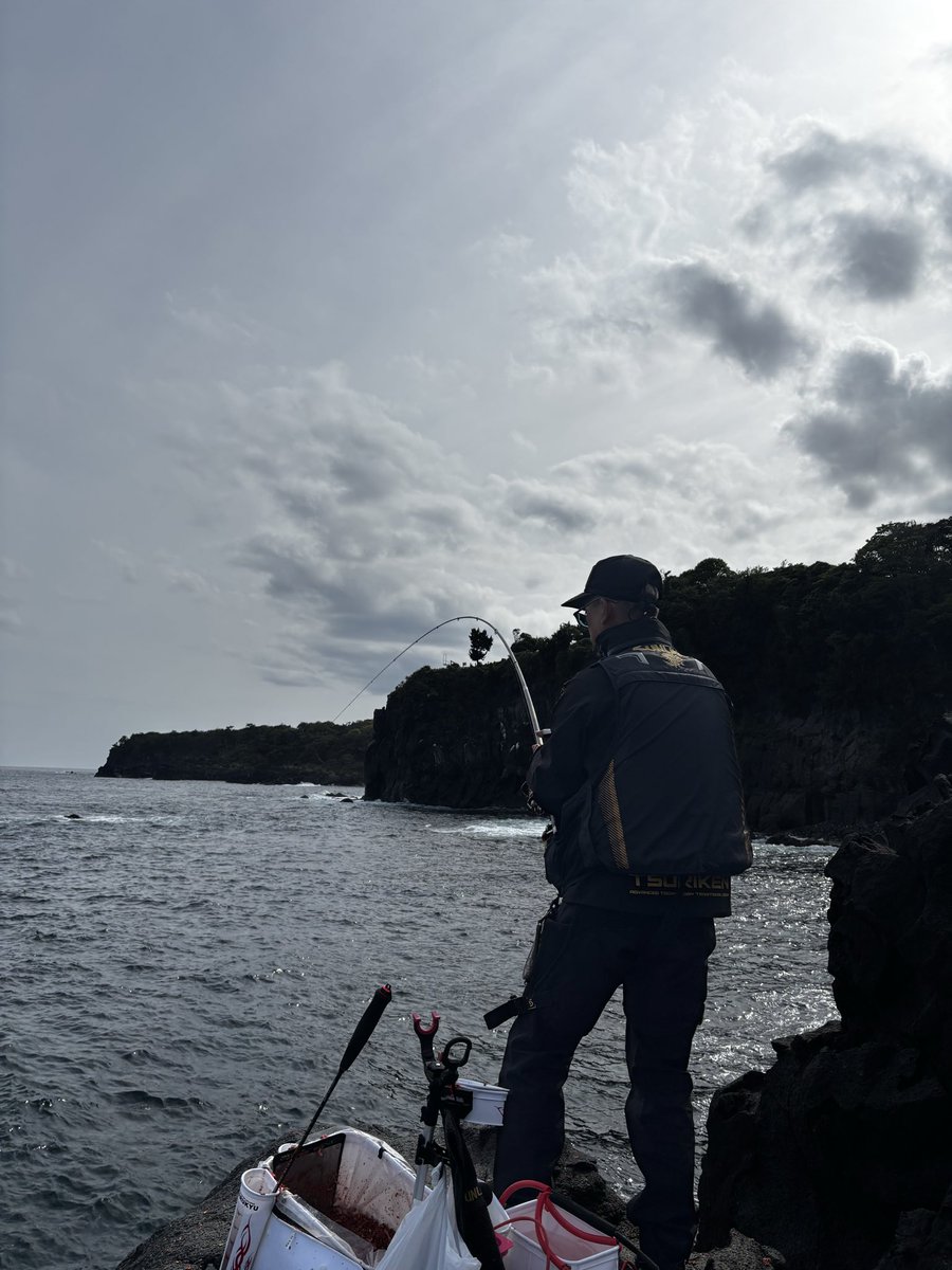 kikku キク七番隊長 tweet media