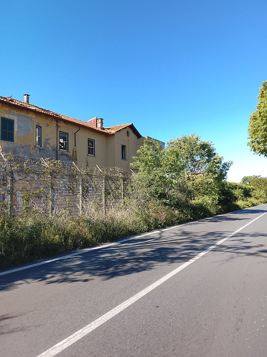 lucananni1010's tweet image. #SundayMood #Goodmorning dopo 135 km dai monti Prenestini a Castel dì Leva e tor Pagnotta, e ritorno #primavera ☀️☀️🚴‍♀️🚴‍♀️