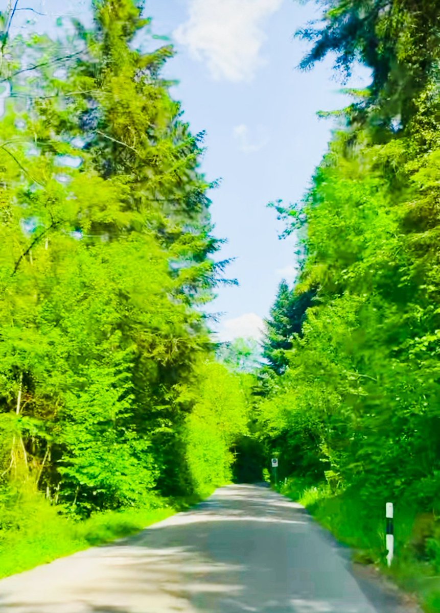 @mhkaltaiy tweet media