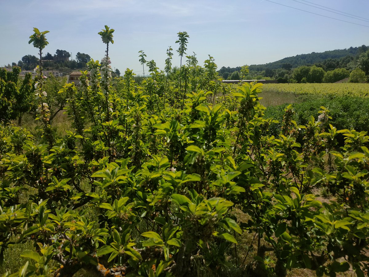 Hanky 🍷 tweet media