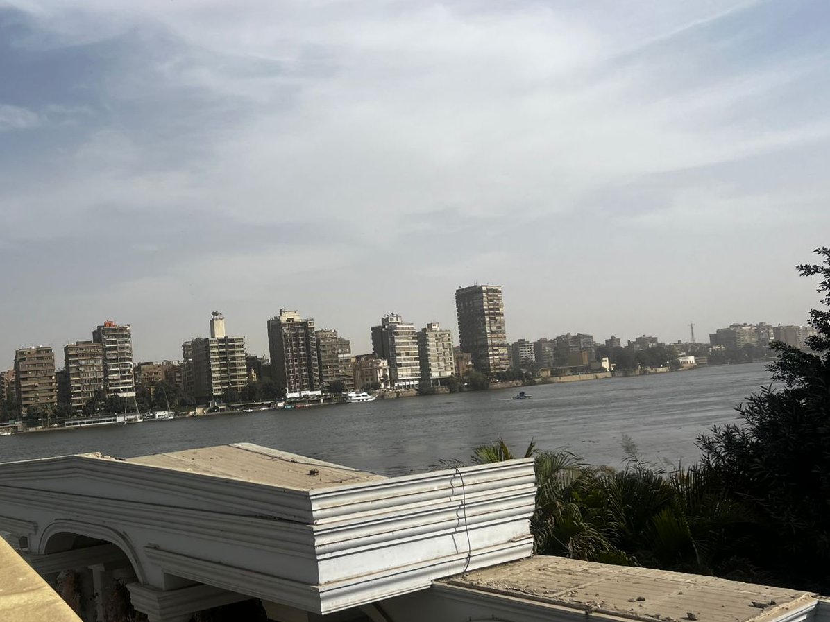 منيره المهديه tweet media