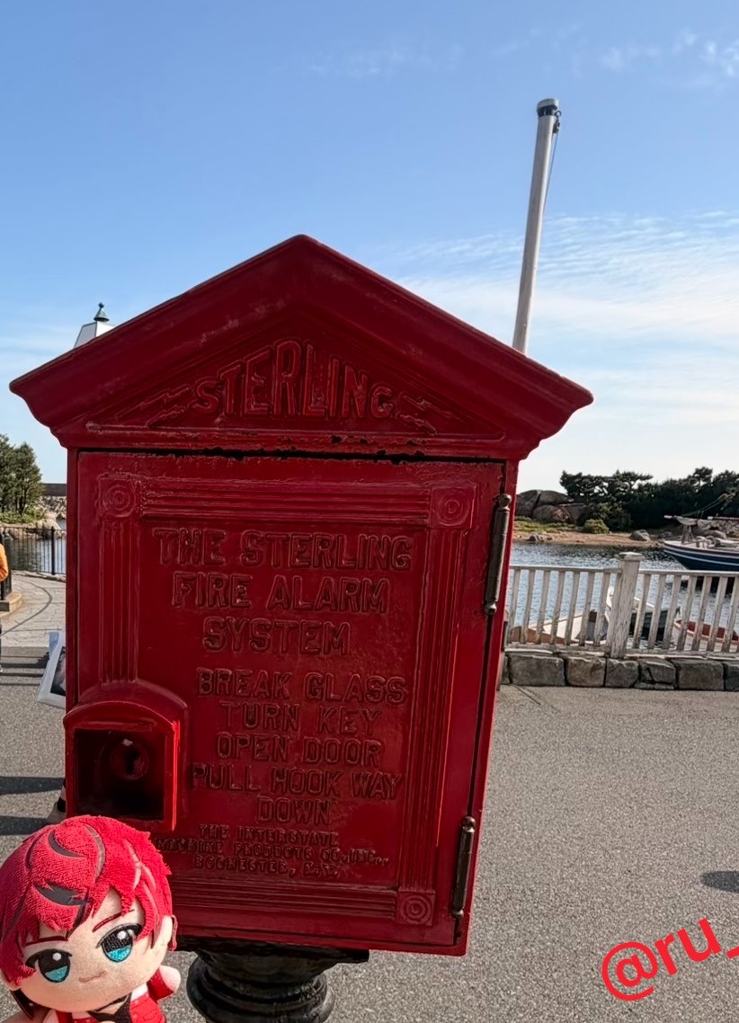 ruki 🥀💫❤️ tweet media