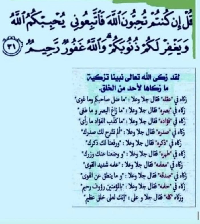 @mhkaltaiy tweet media