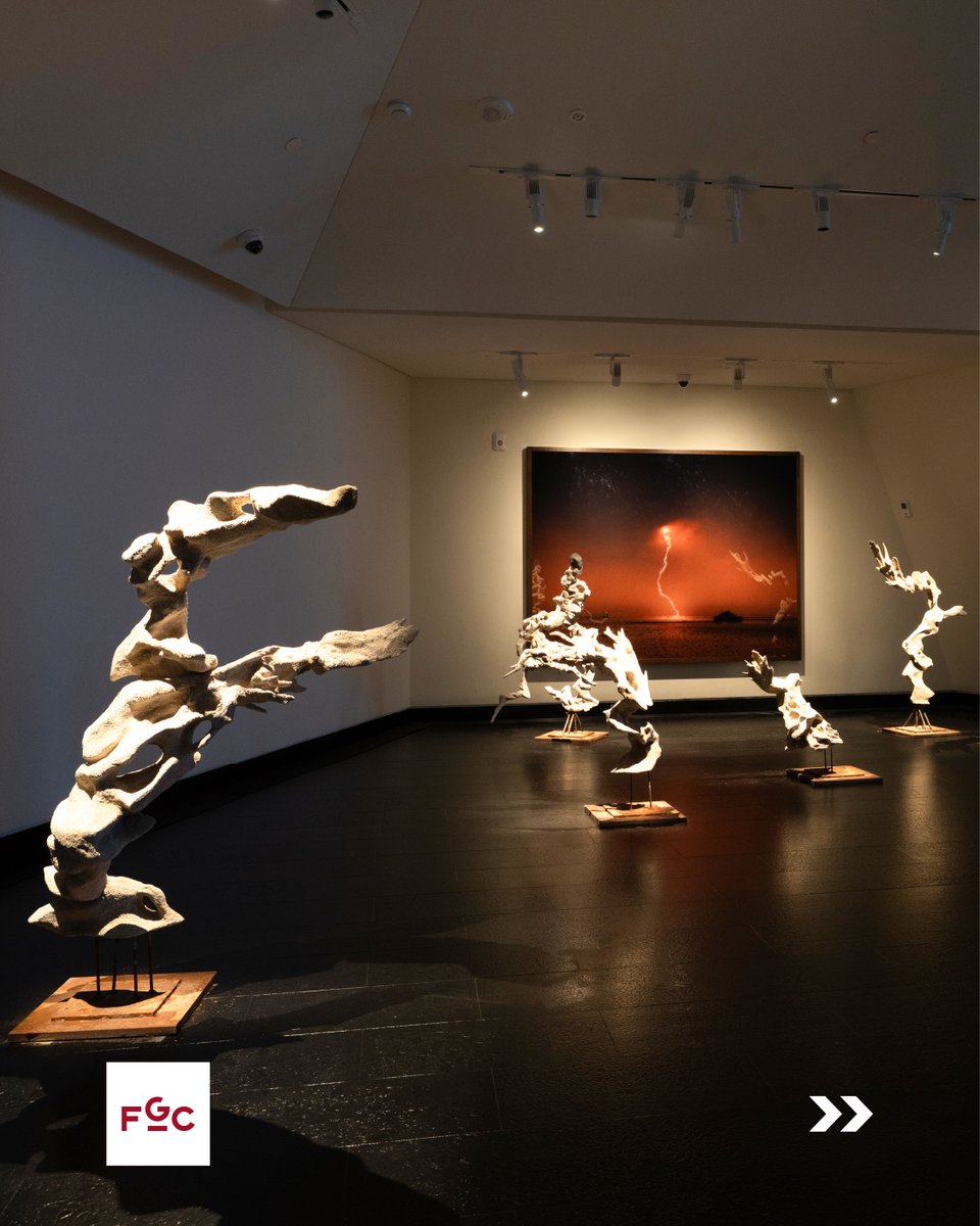 First Gulf Company tweet media