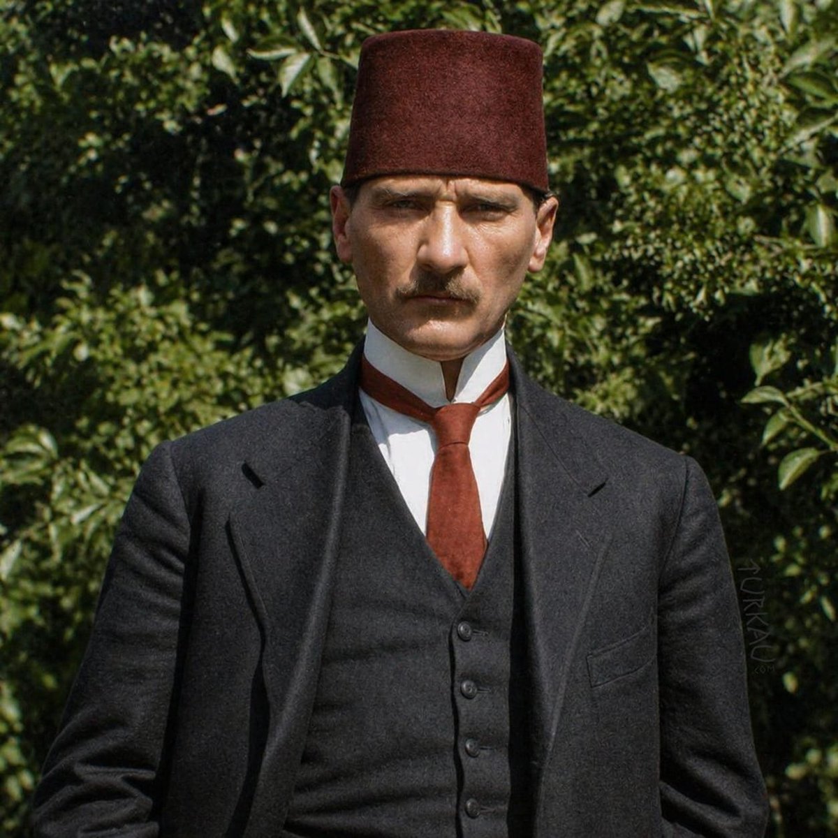 Türk tweet media