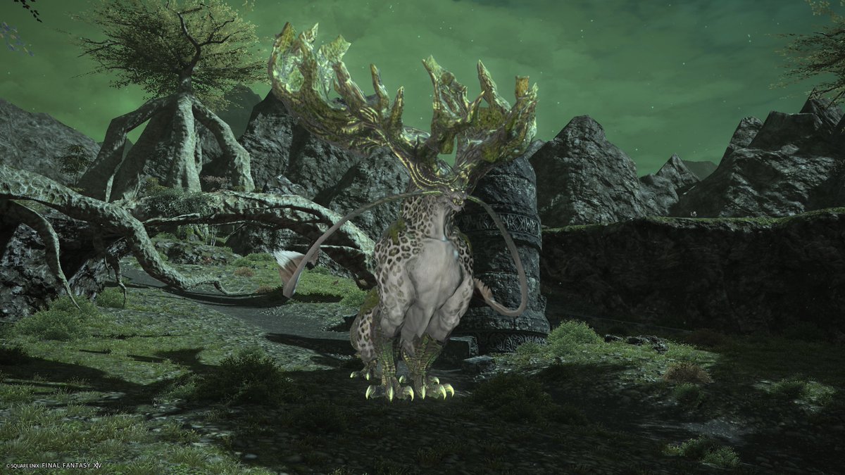 アスター✴︎Aegis tweet media