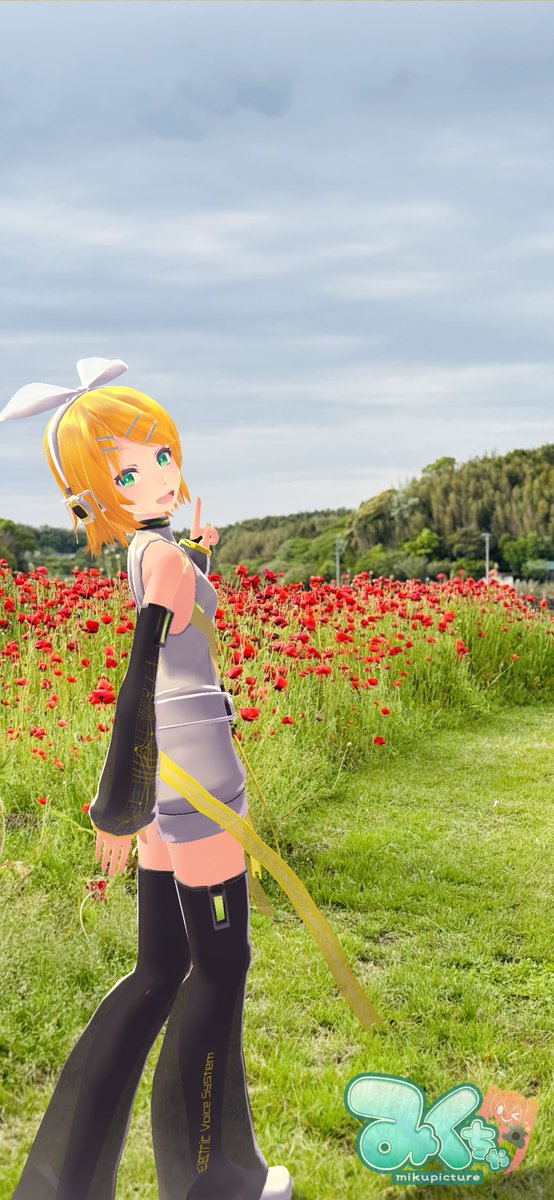 天気も良かったので近くの川沿いの道を散歩してました。この時期は花も咲いていて気持ち良いですね〜☺️
 #みくちゃ #mikuture