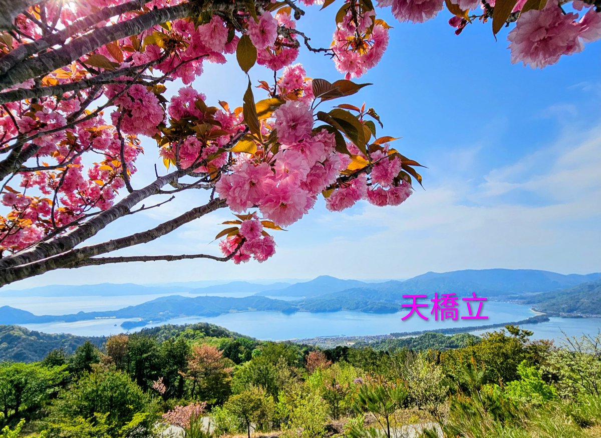 skywave tweet media