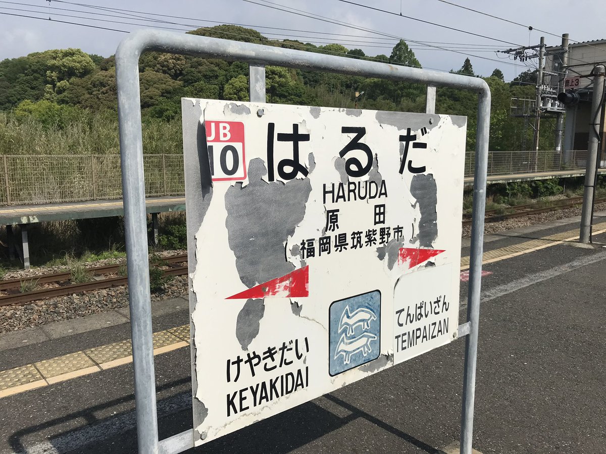 てっしぃ～ tweet media