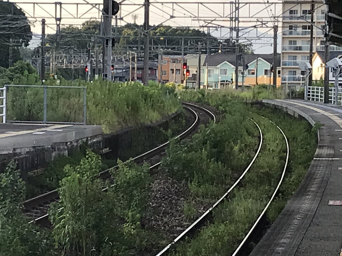 てっしぃ～ tweet media