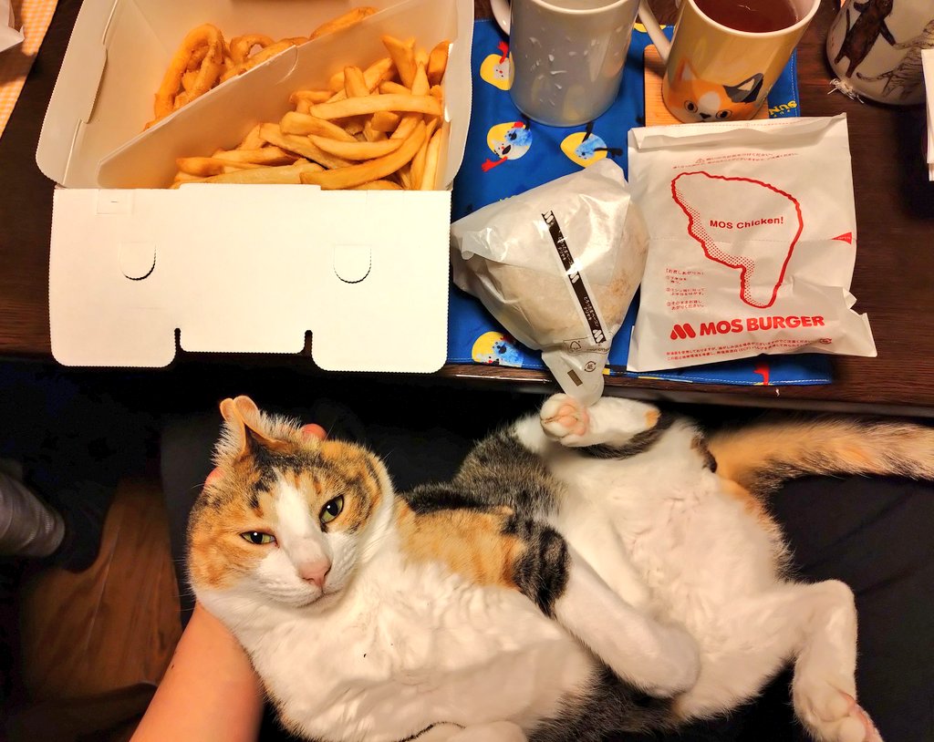 にこちゃまちゃんぬる tweet media