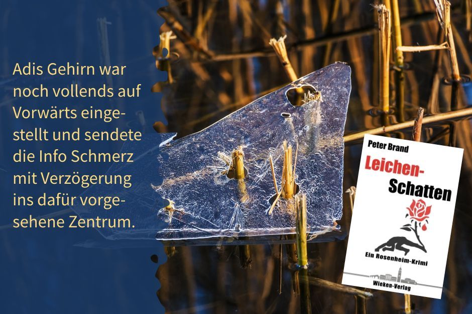 WiekenVerlag's tweet image. Es begann mit einem Streit: Leichenschatten – der dritte Rosenheim-Krimi von Peter Brand – alle Shops buff.ly/3cmLvYZ  #Werbung #Krimi