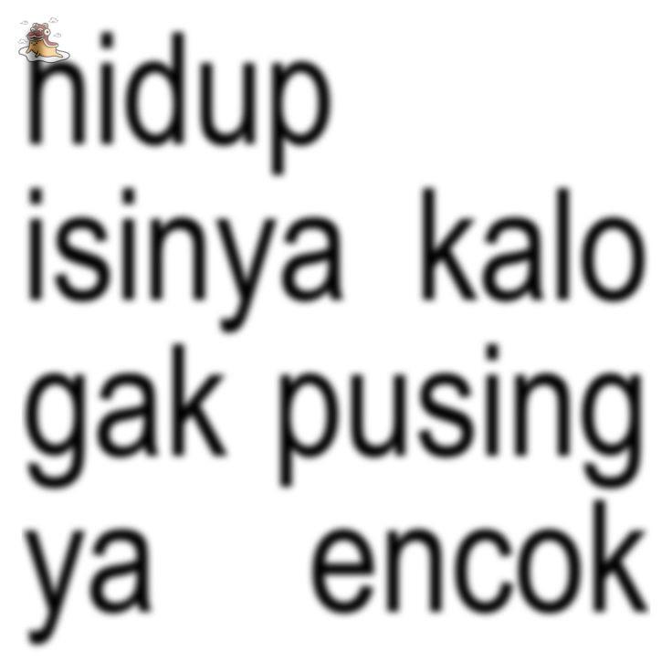 SOC-IE 💛 ˚☽˚.⋆ tweet media