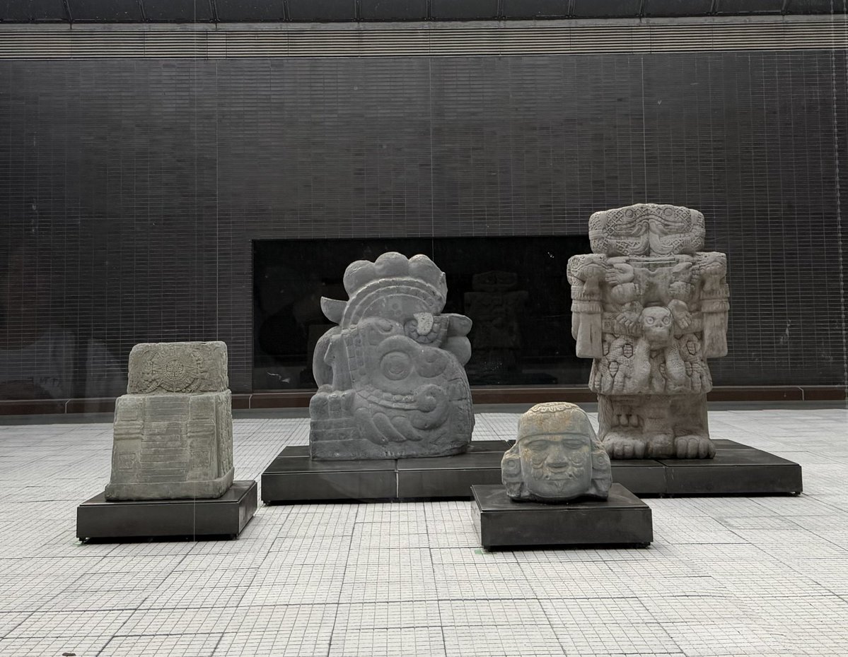 wombat_yu tweet media