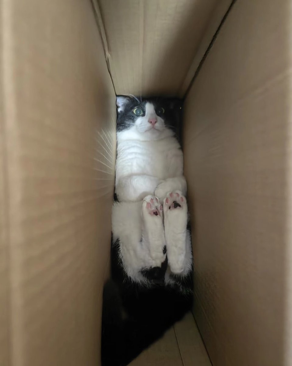 It's really too crowded