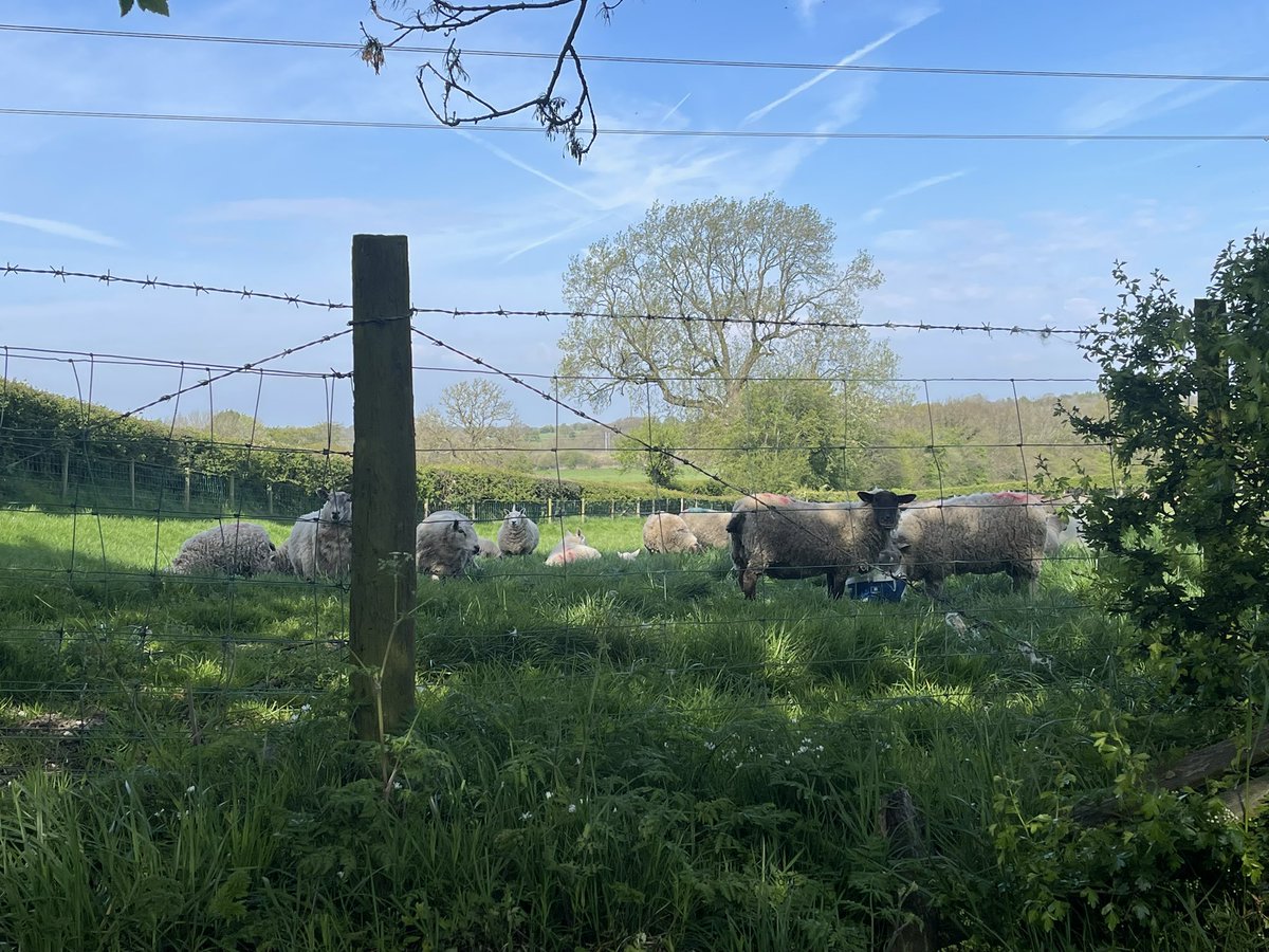 Martin Tale tweet media