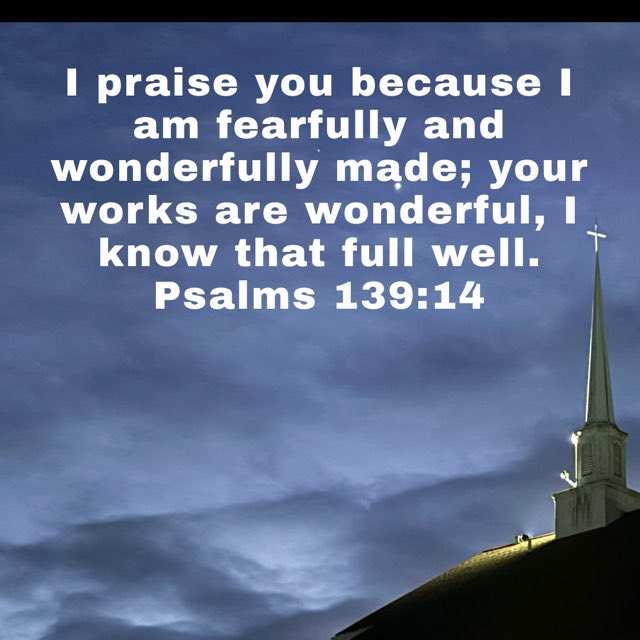 Annette Boyer tweet media