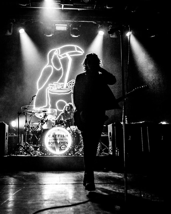 catfish and the bottlemen updates tweet media