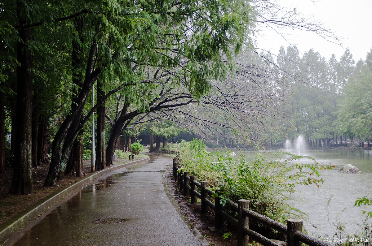 gabrielags2012's tweet image. " Nature Explorers Club: Join our weekend hike! 9 AM Sat @ Park Entrance. Bring water + curiosity. Let’s spot birds u0026 wildflowers! DM for details.  #NatureLovers #OutdoorAdventure"