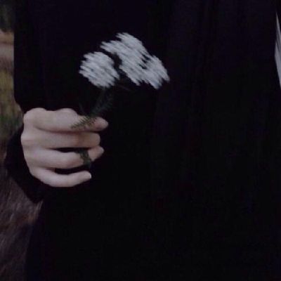 C ☆ | 🌻🪻 tweet media